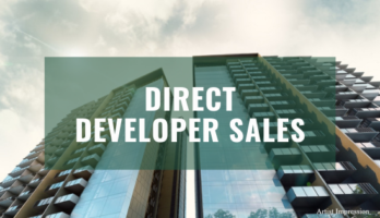 developer sales